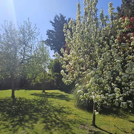 Holiday home Maison Cosy Campagne, Terrasse & *